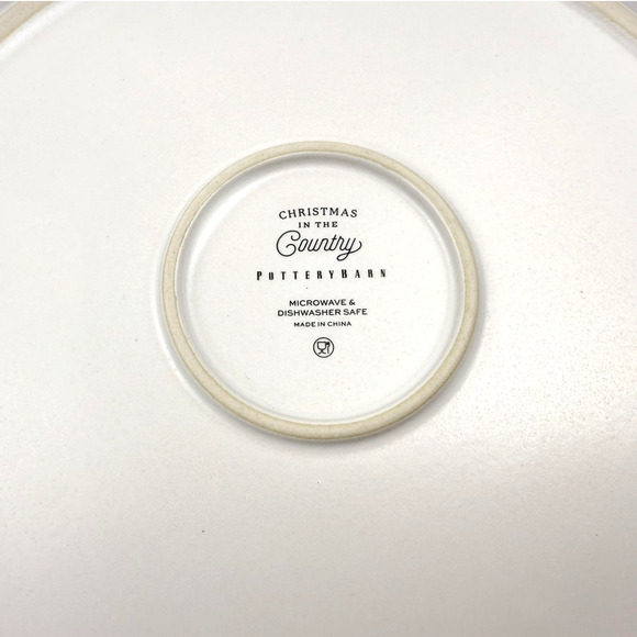 Pottery Barn Christmas in the Country DINNER Plate Holiday Star Birds 11" NWOB - Picture 2 of 2